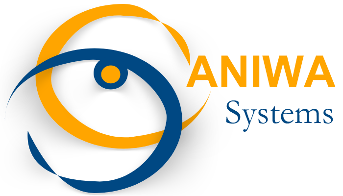 Aniwa Systems | IT Consultancy | Software Development